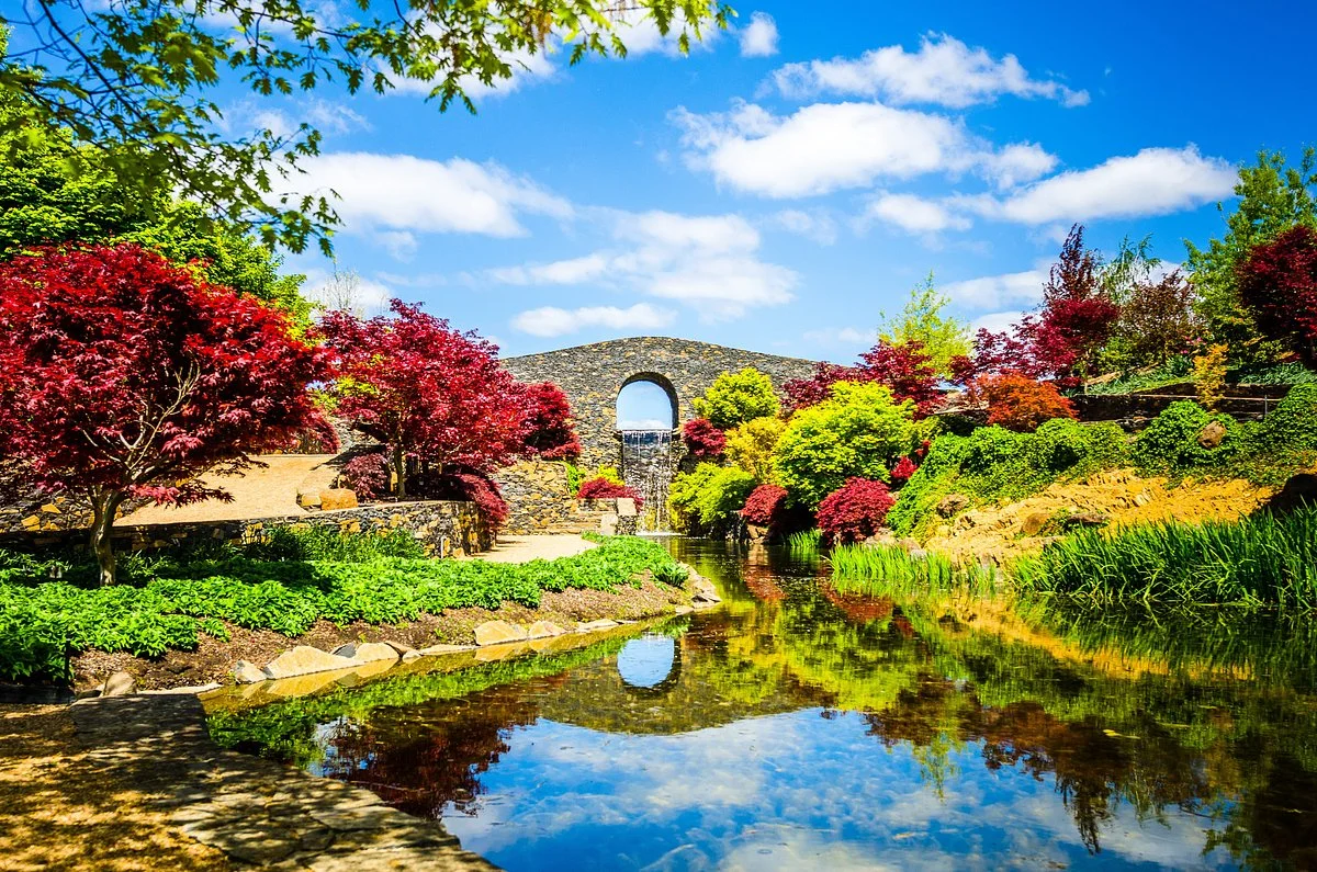 Mayfield Garden