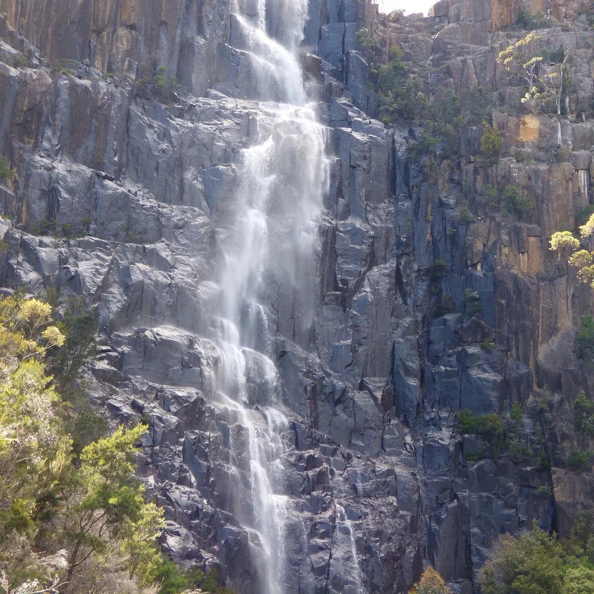 Pelverata Falls Track