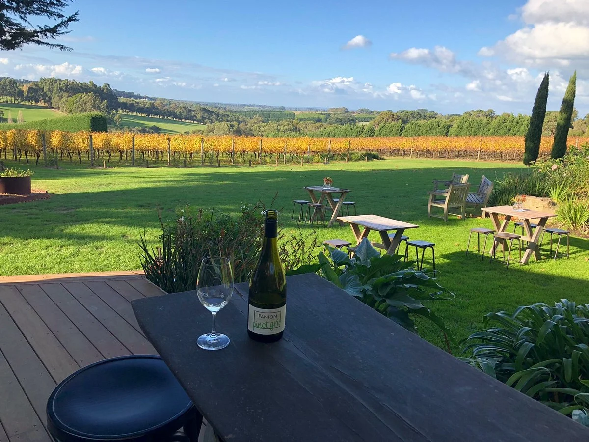 Panton Vineyard