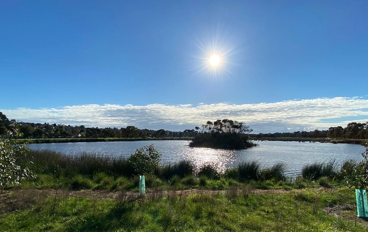 Frog Hollow Reserve