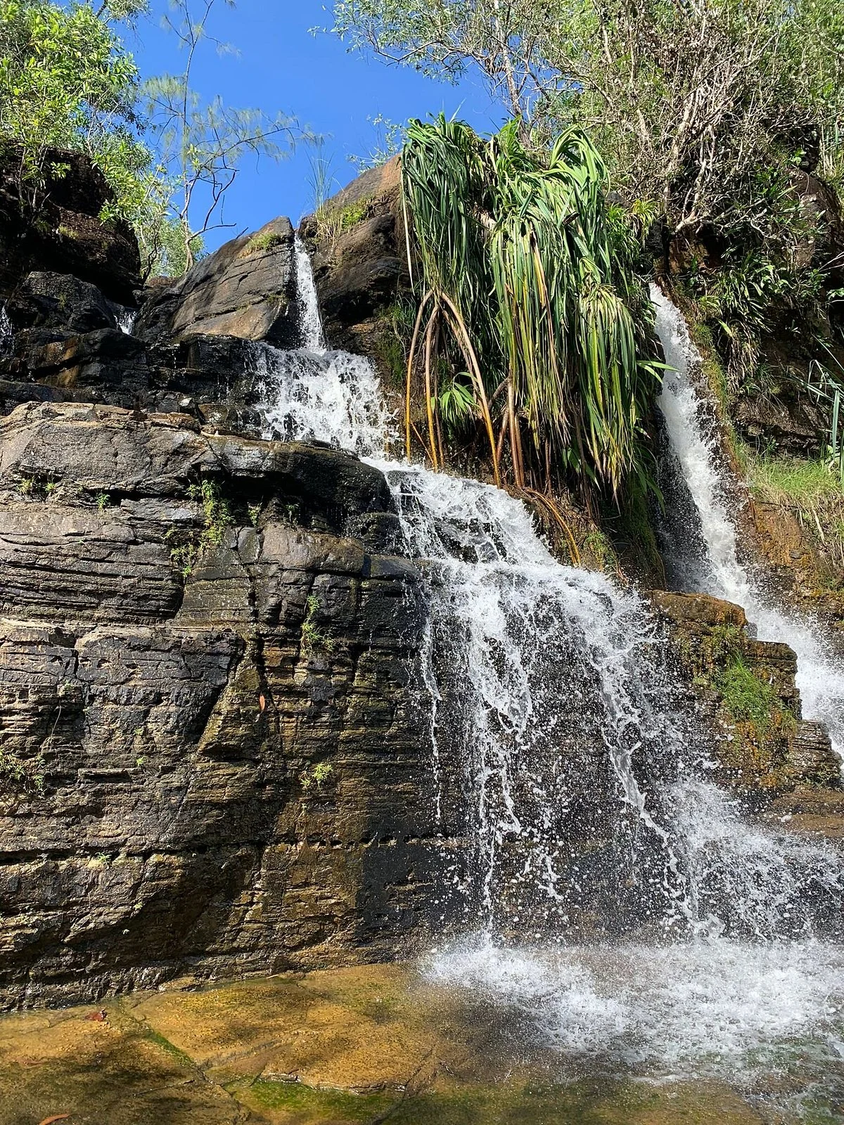 Tarzan Falls