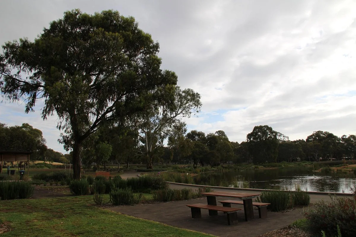 Oaklands Wetland