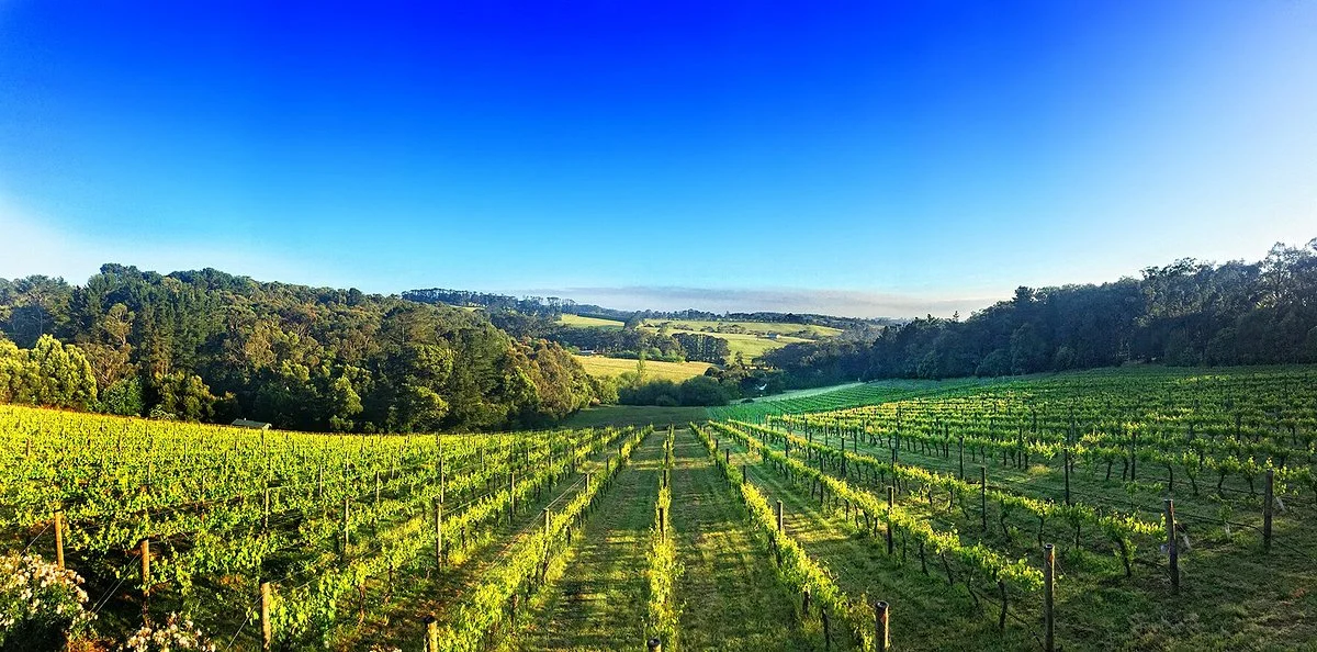 Eldridge Estate of Red Hill