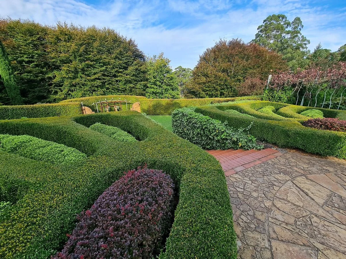 Cloudehill Nursery and Gardens