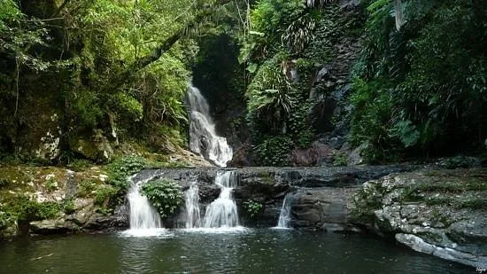 Gold Coast Hinterland Great Walk