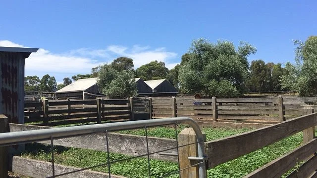 Cooper's Settlement