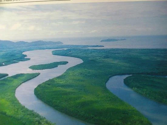 Wet Tropics World Heritage Area
