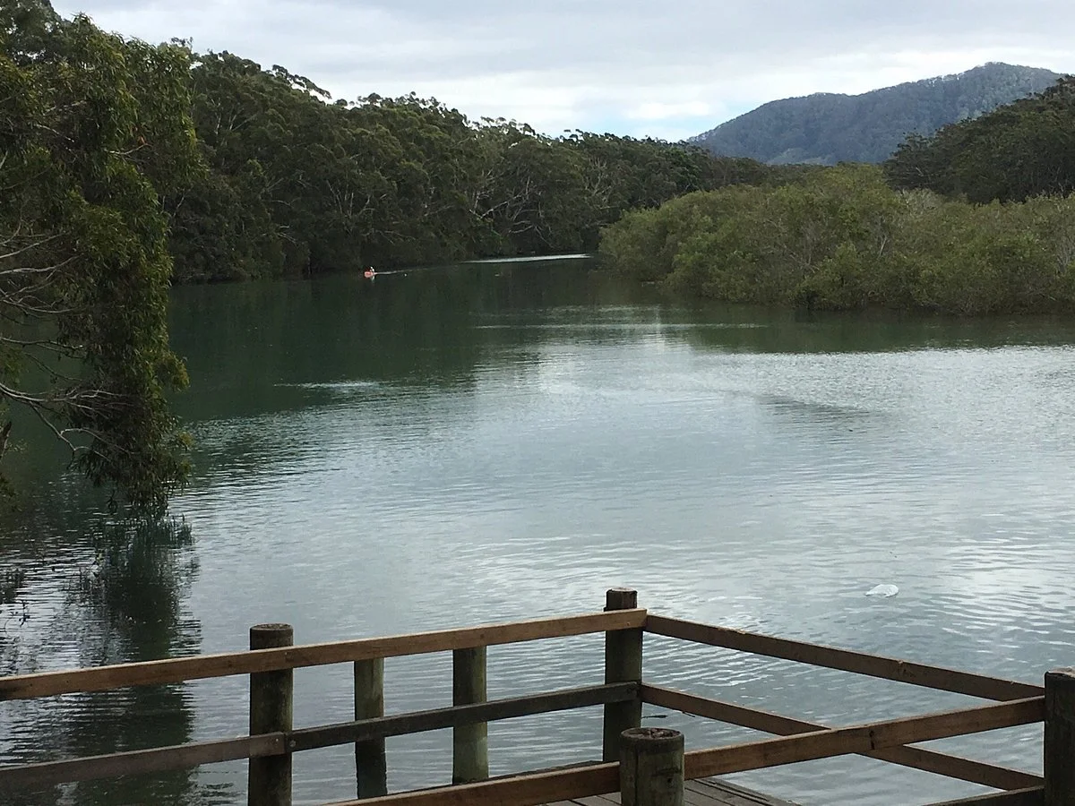 Coffs Creek Walk and Cycleway