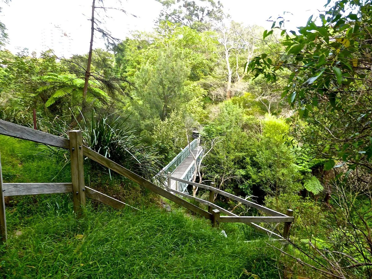 Fred Hollows Reserve