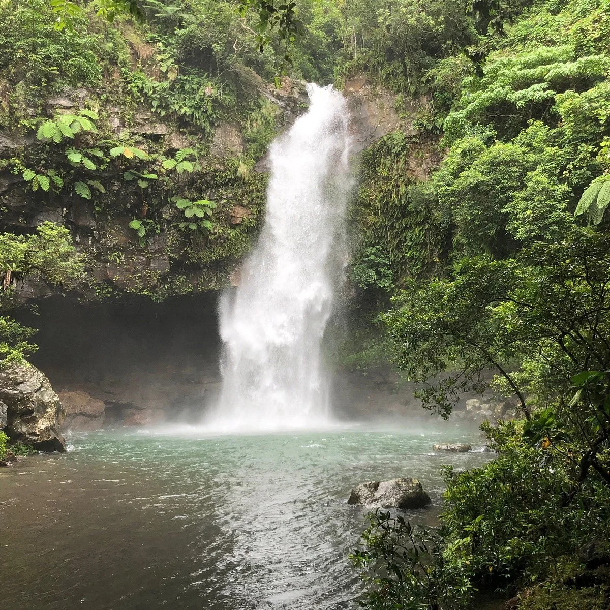 Lavena Coastal Walk