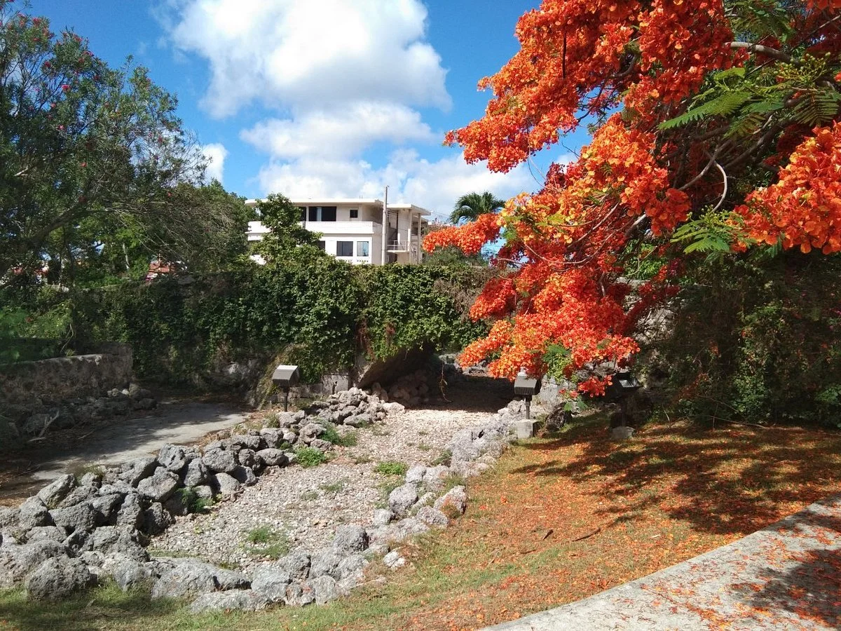 San Antonio Bridge