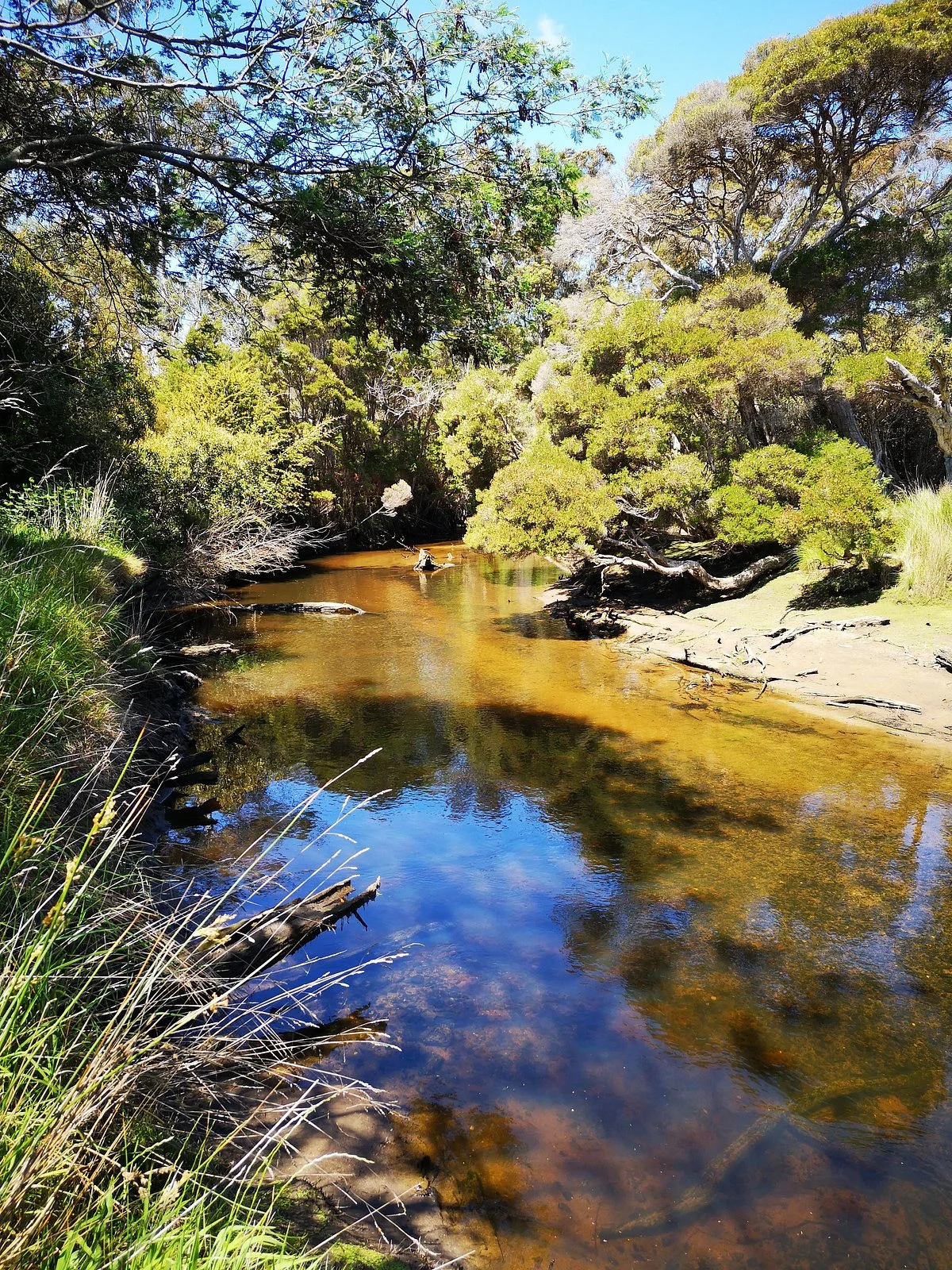 Bridport Walking Track