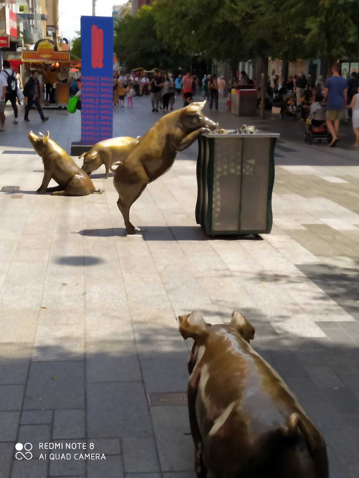 The Rundle Mall Pigs