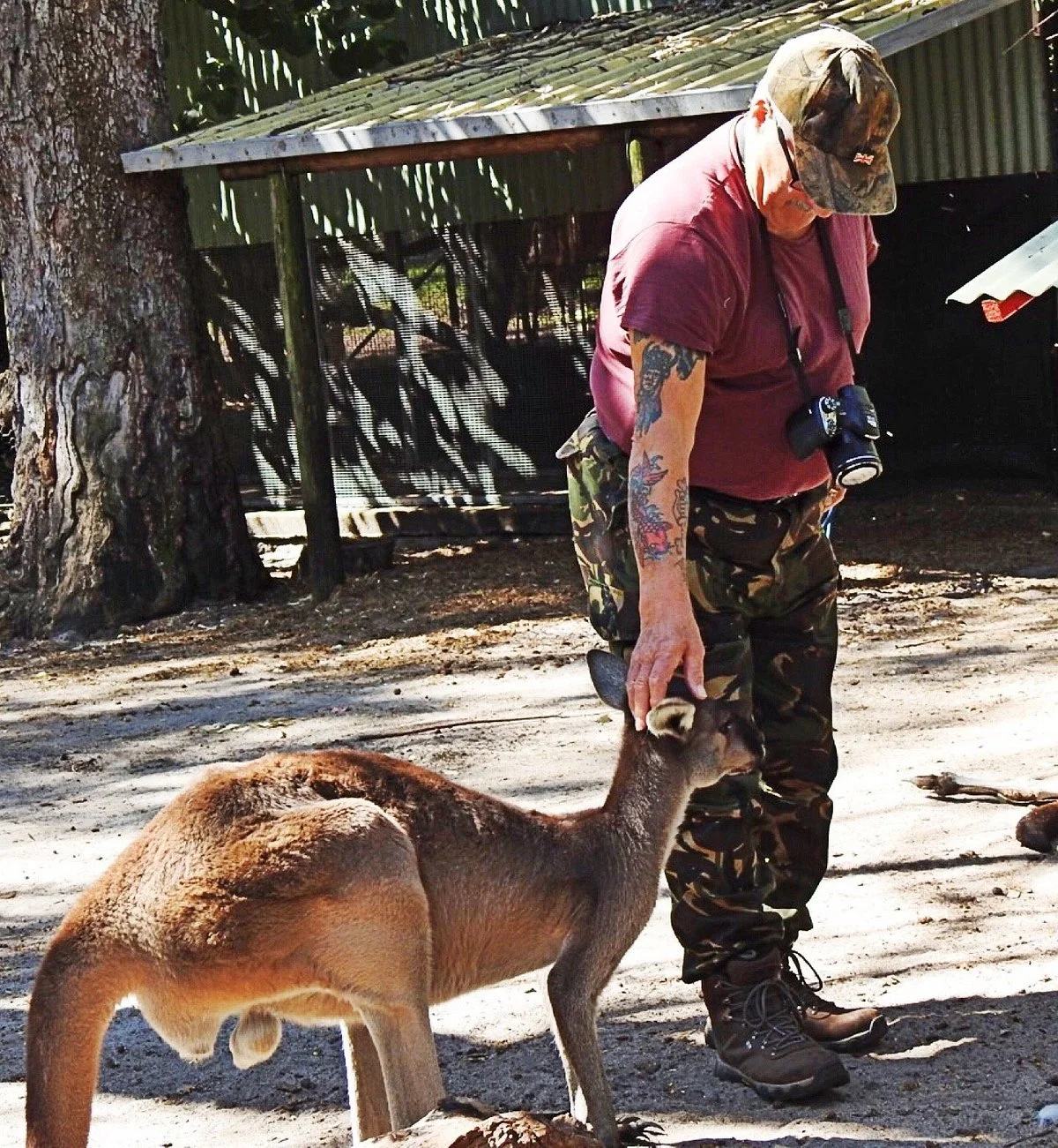 Peel Zoo