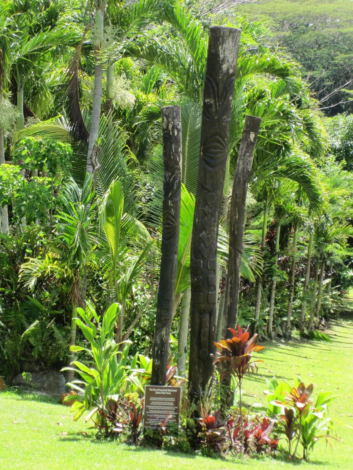 Arai-Te-Tonga