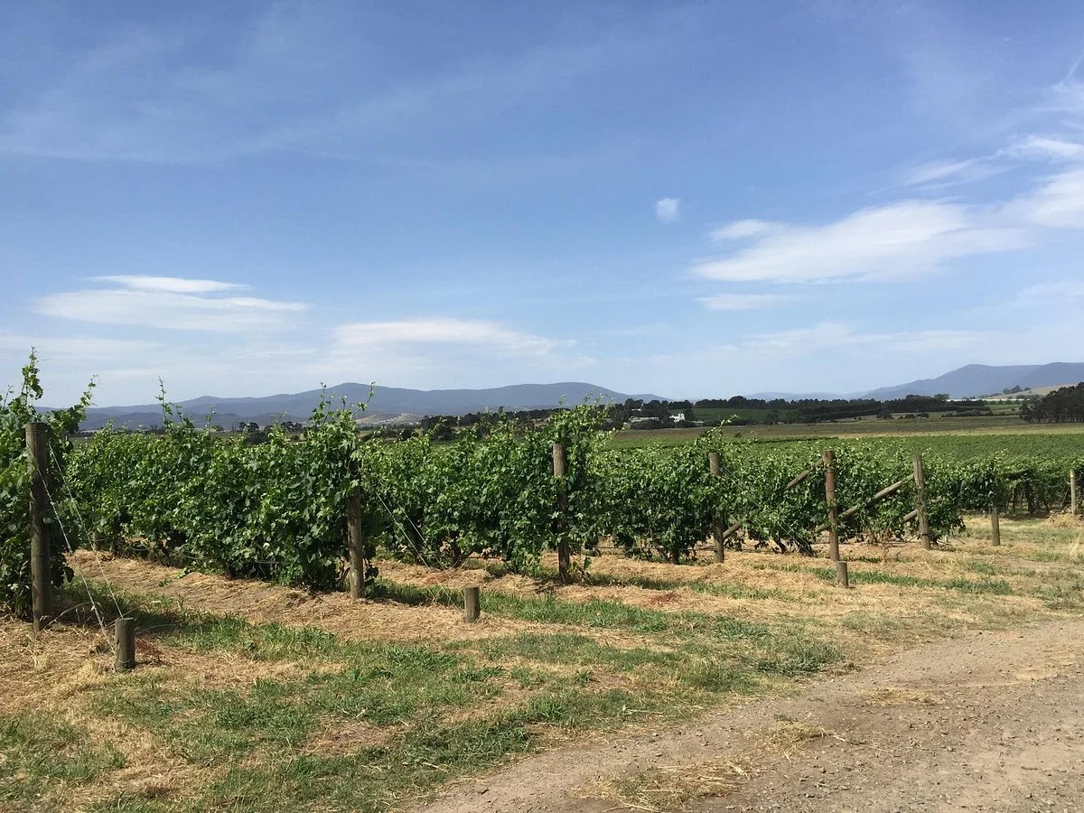 Yering Farm Wines