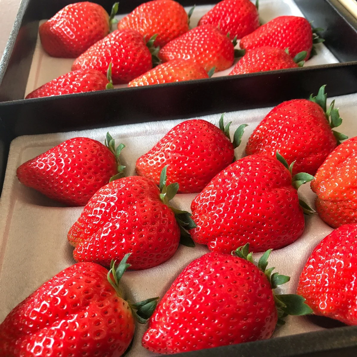 Yoshimura Strawberry Park