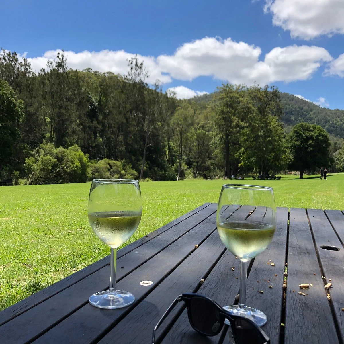 O’Reilly’s Canungra Valley Vineyards