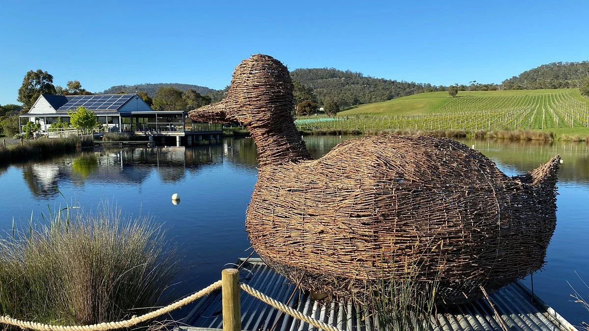 Puddleduck Vineyard