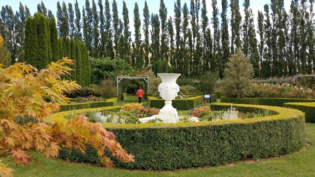 Mrs Jones Fruit Orchard