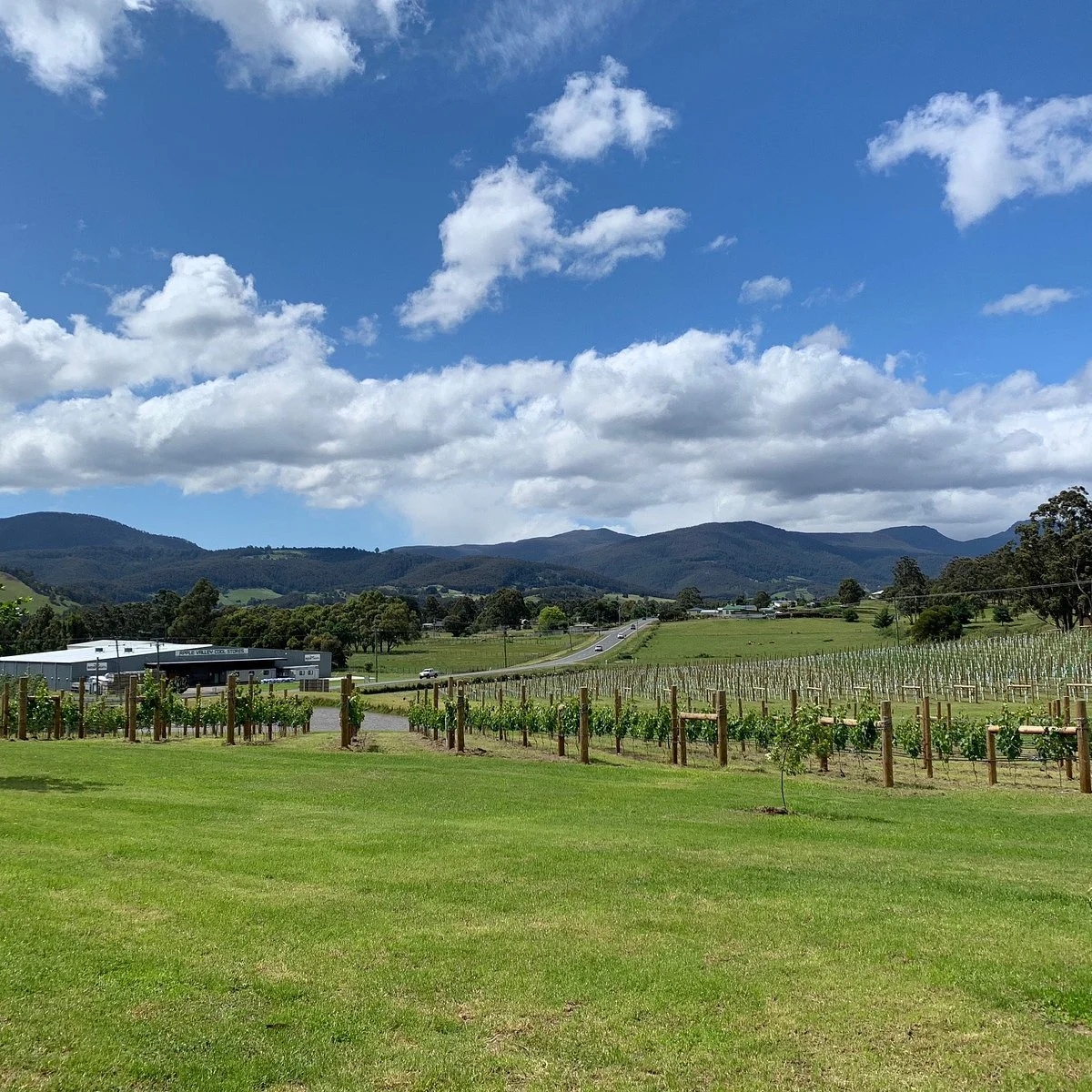 Kate Hill Wines