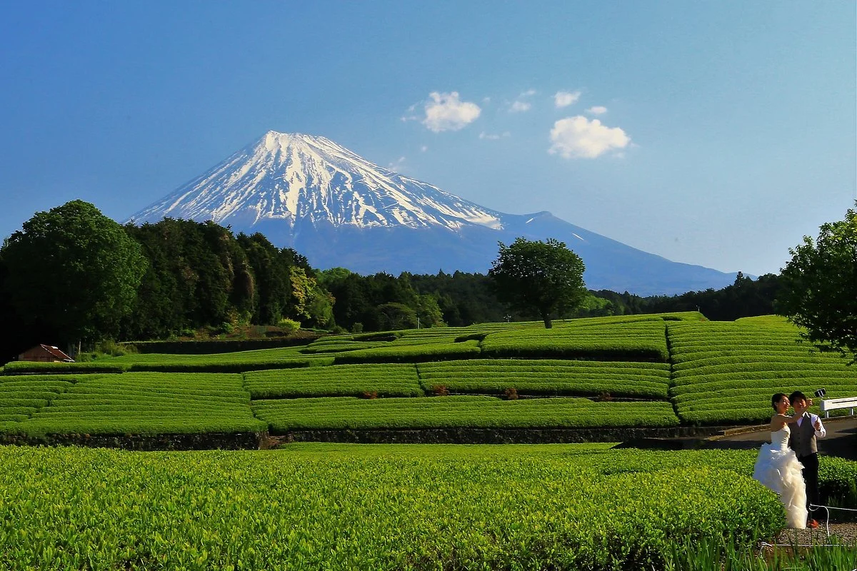 Obuchi Sasaba