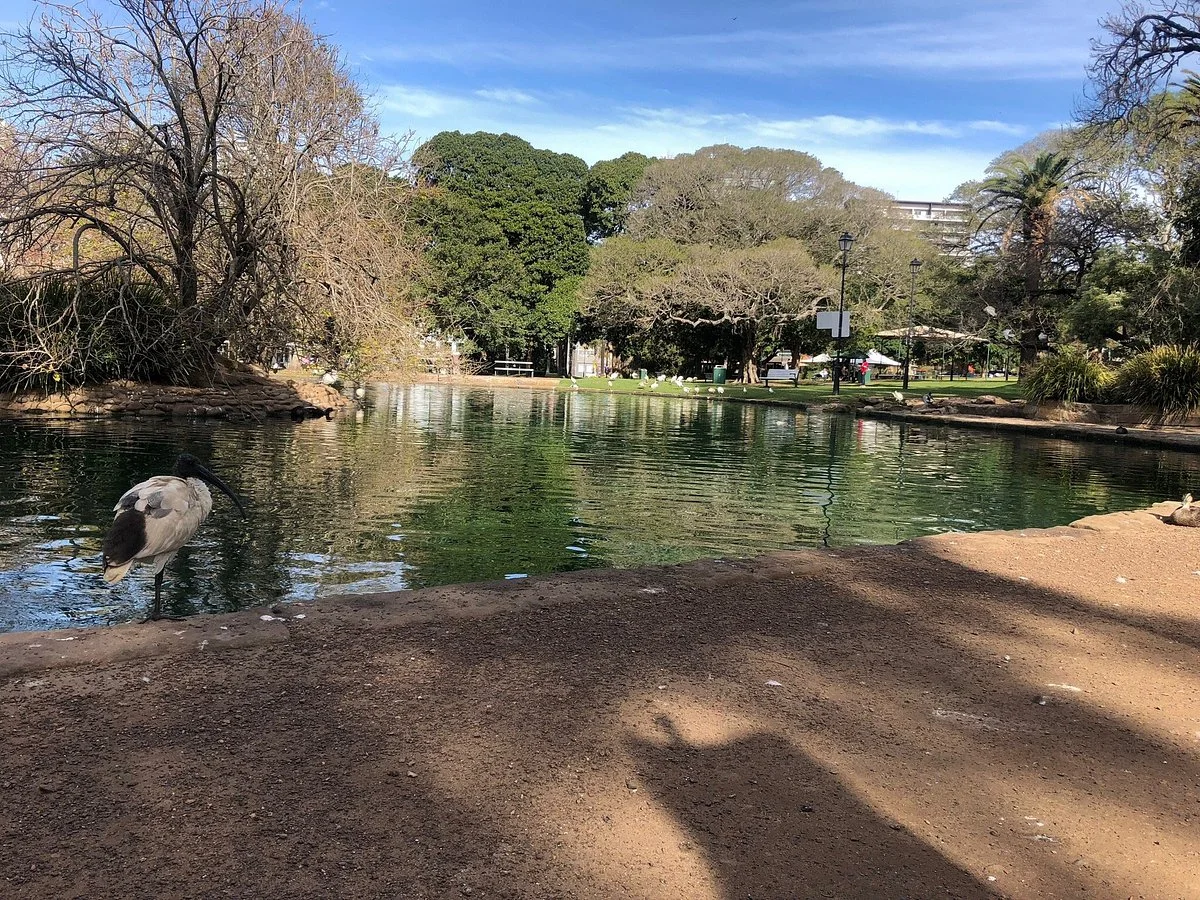 Burwood Park