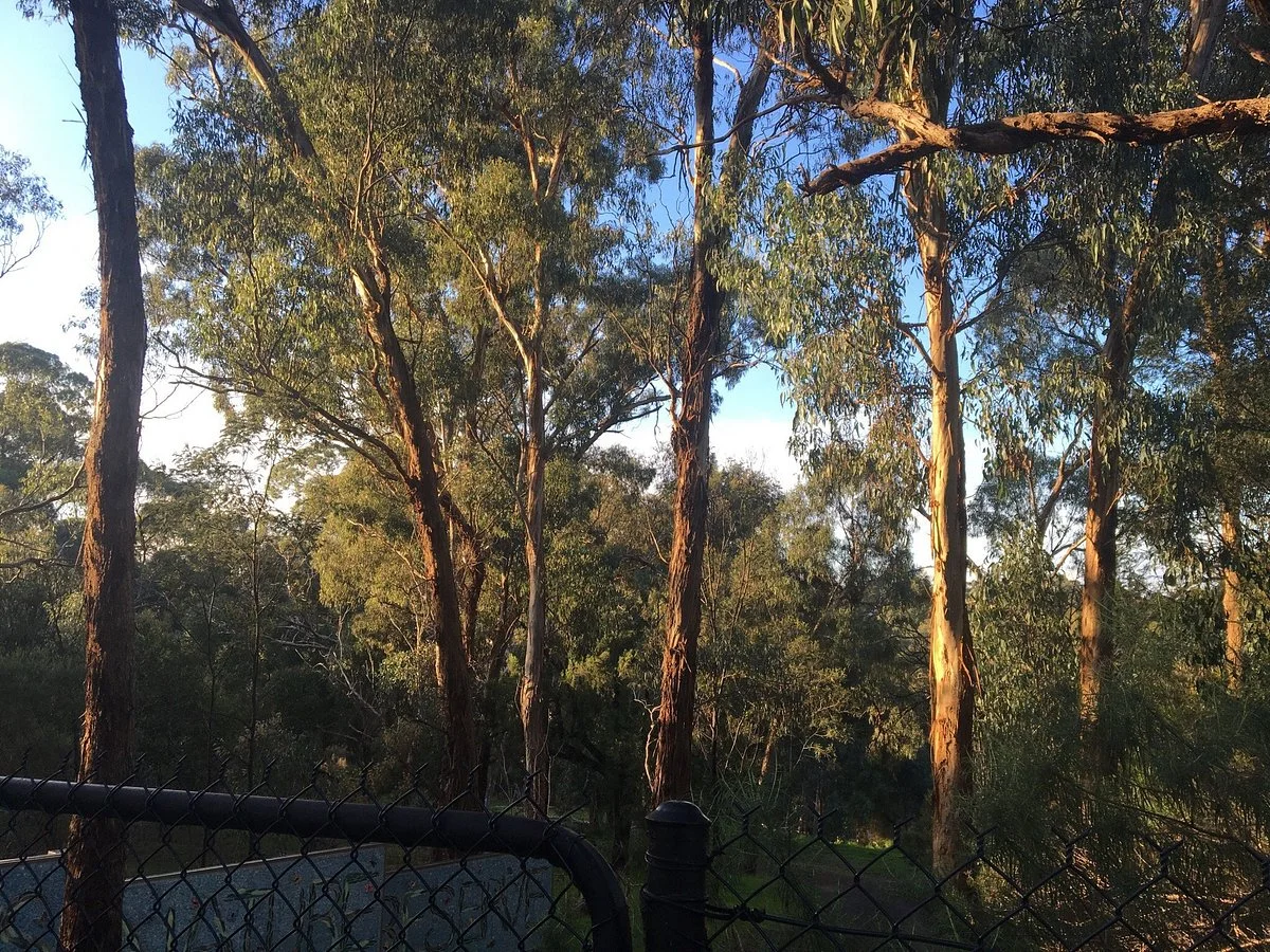 Brown's Reserve