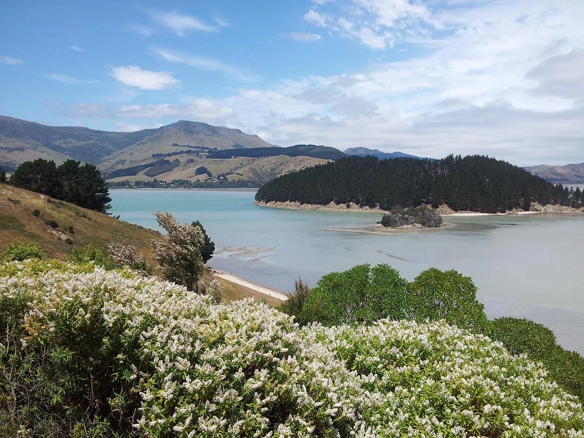 Quail Island
