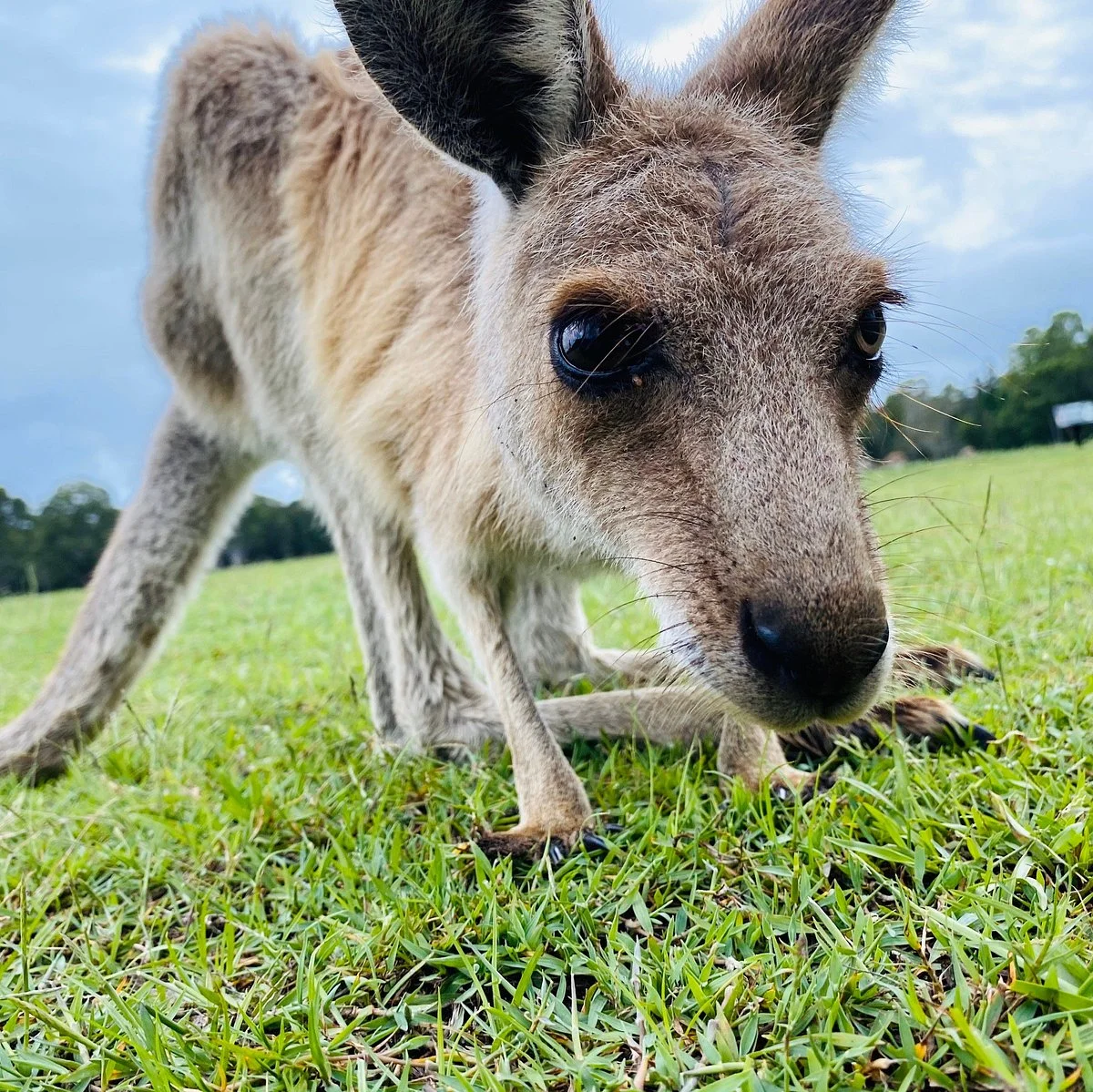 Coombabah Lakes Conservation Area