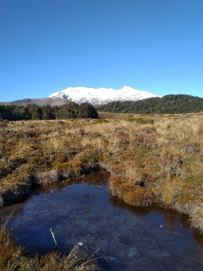 Silica Rapids Track