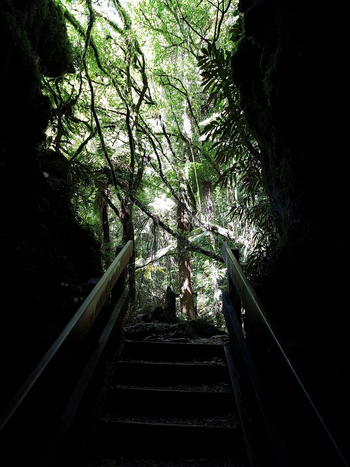 Piripiri Cave Walk