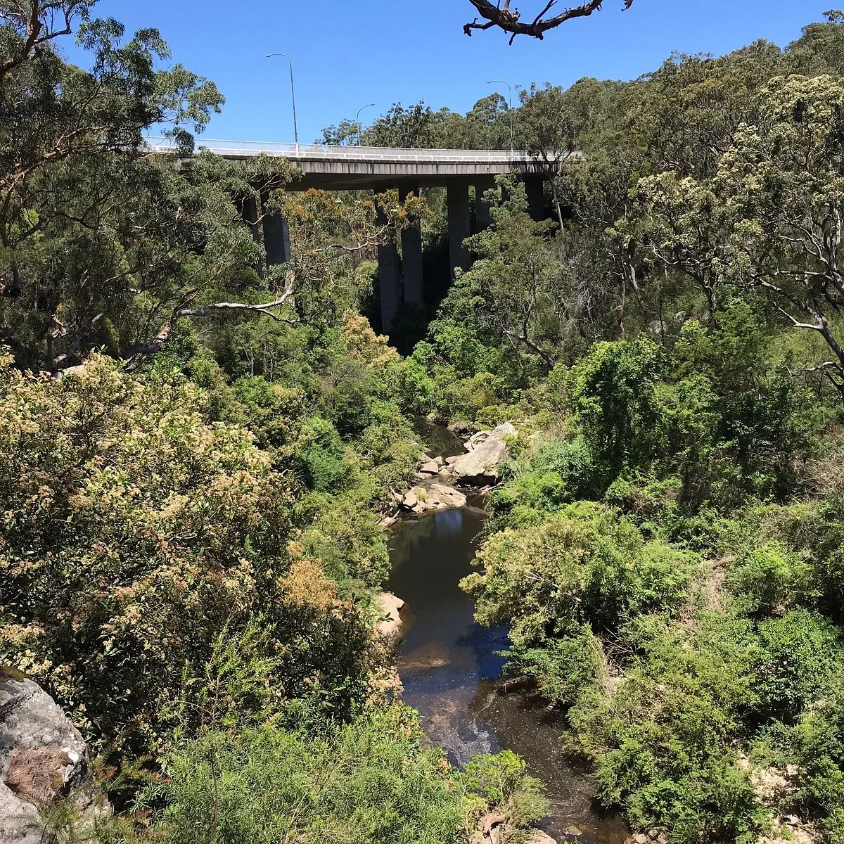 Lane Cove National Park