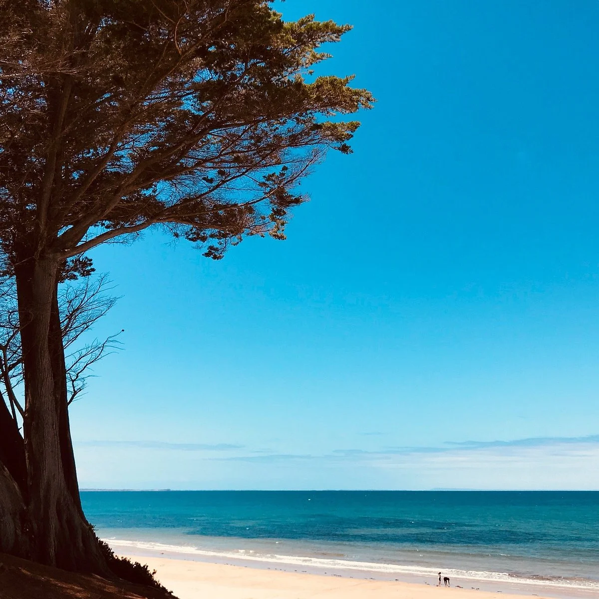 Torquay Foreshore Play Park