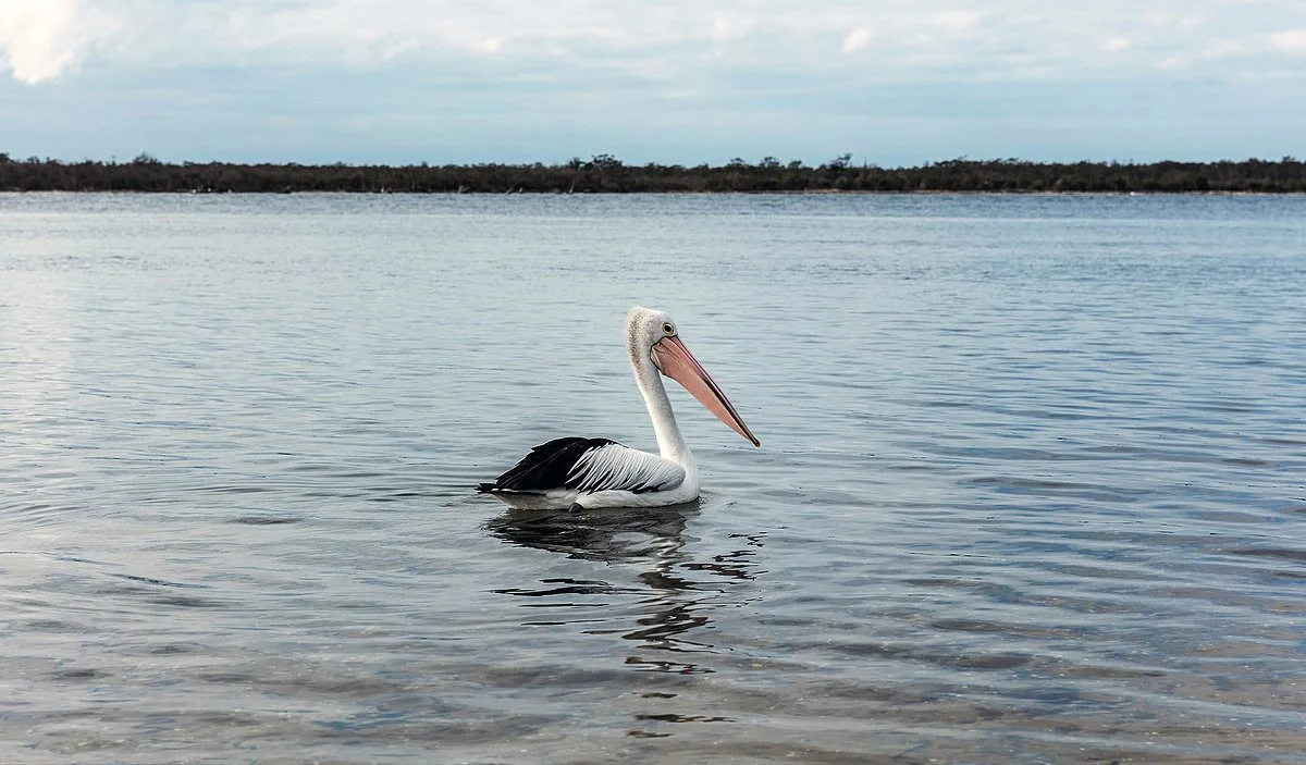 The Lakes National Park