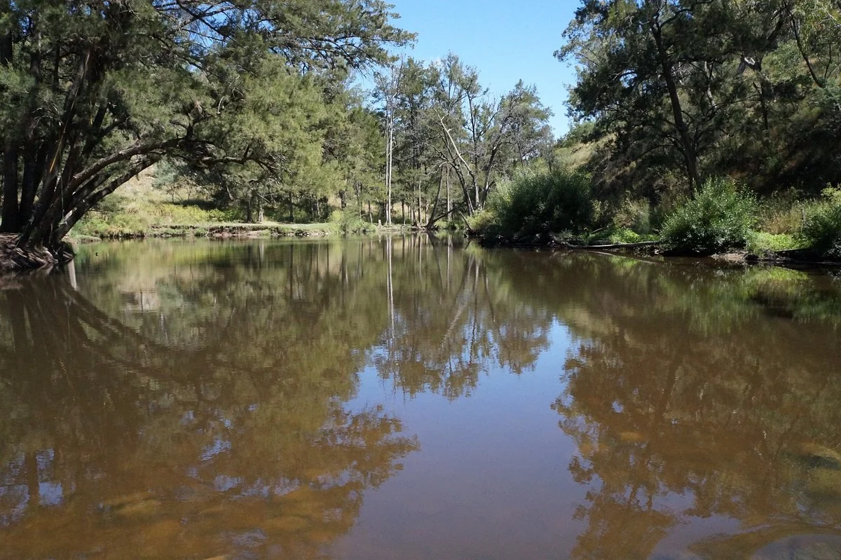 Ophir Reserve