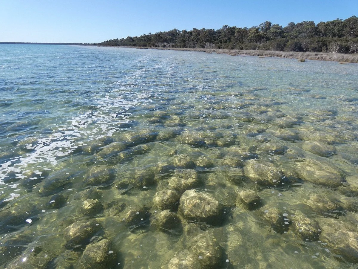 Yalgorup National Park