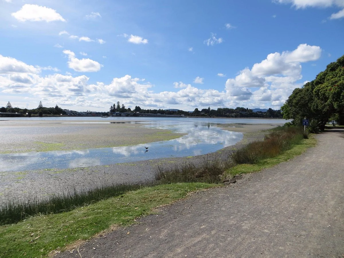 Waikareao Estuary