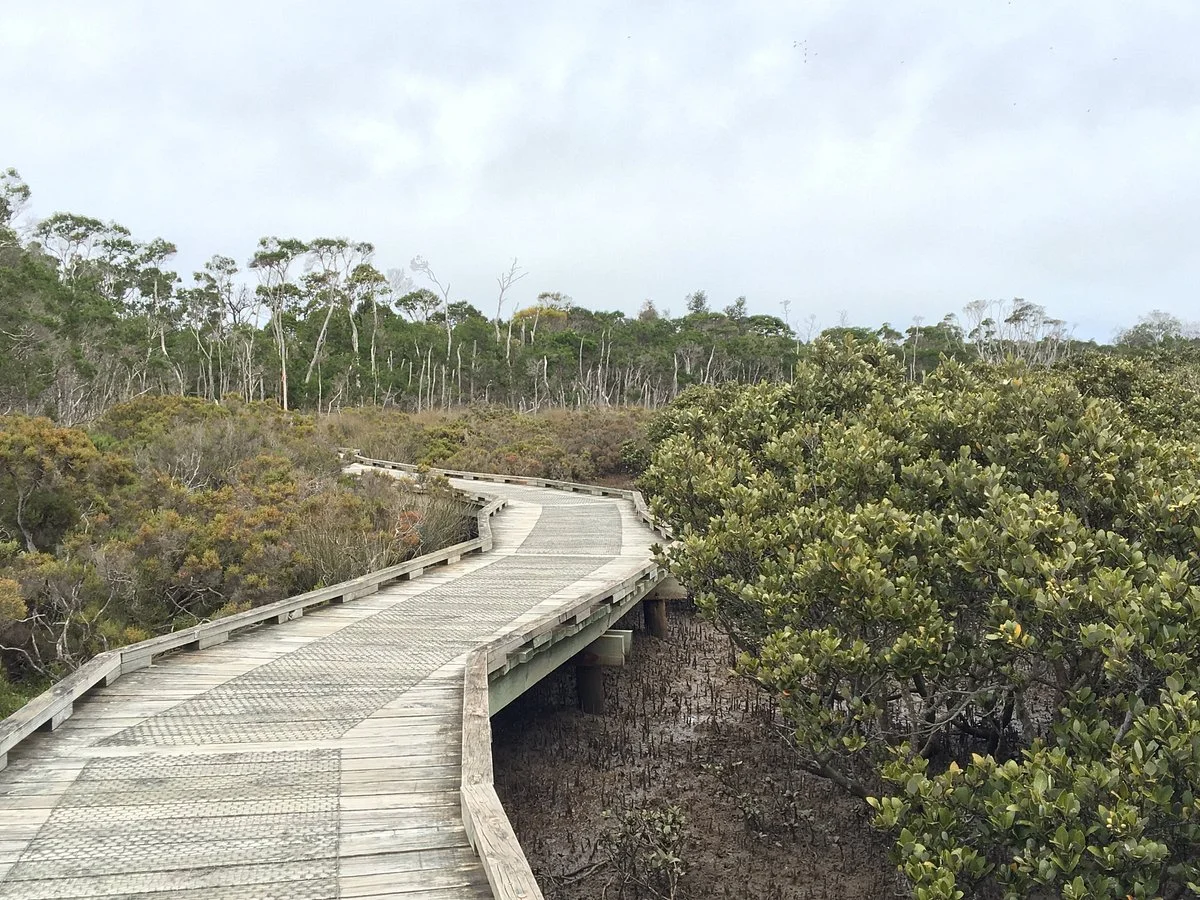 Rhyll Inlet State Wildlife Reserve