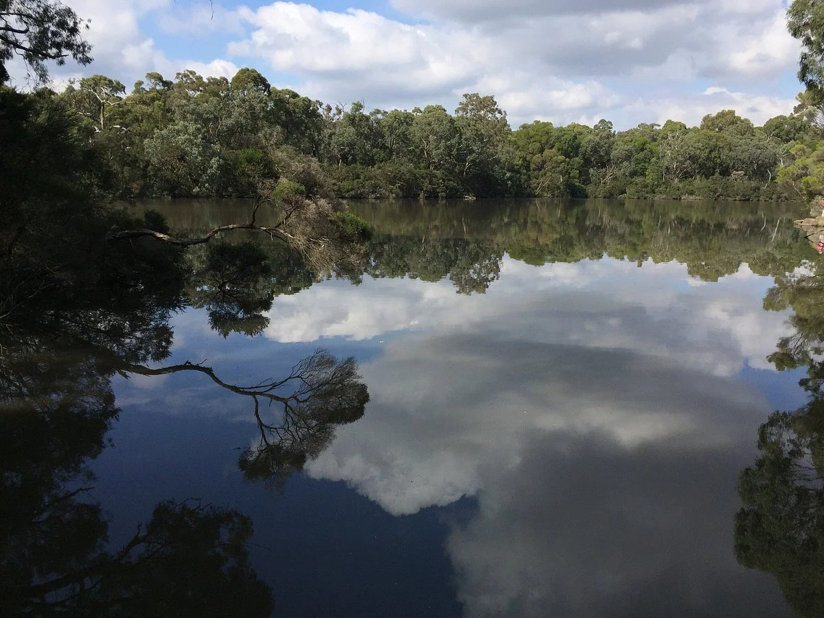 Blackburn Lake Sanctuary