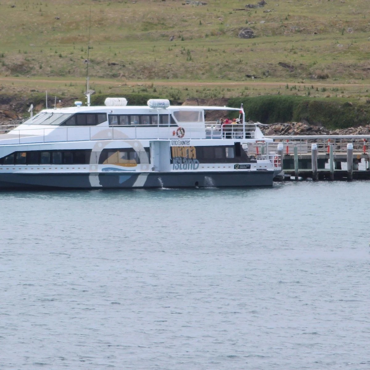 Encounter Maria Island ferry