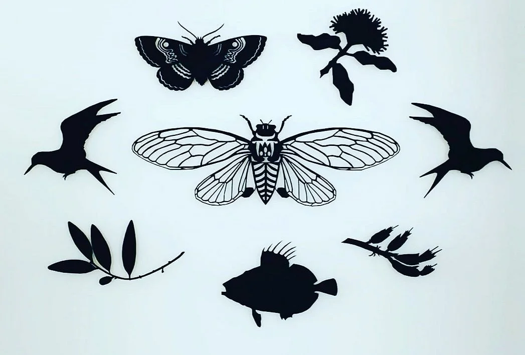 TOI Gallery