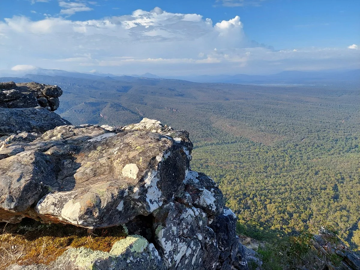 Reed Lookout