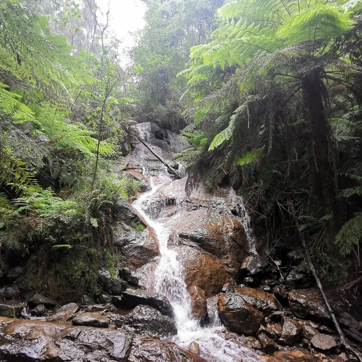 La La Falls