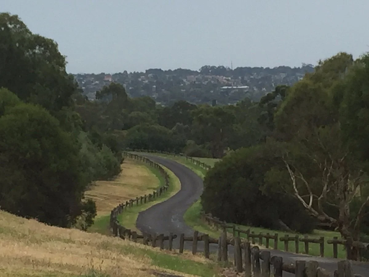 Mt cooper Lookout