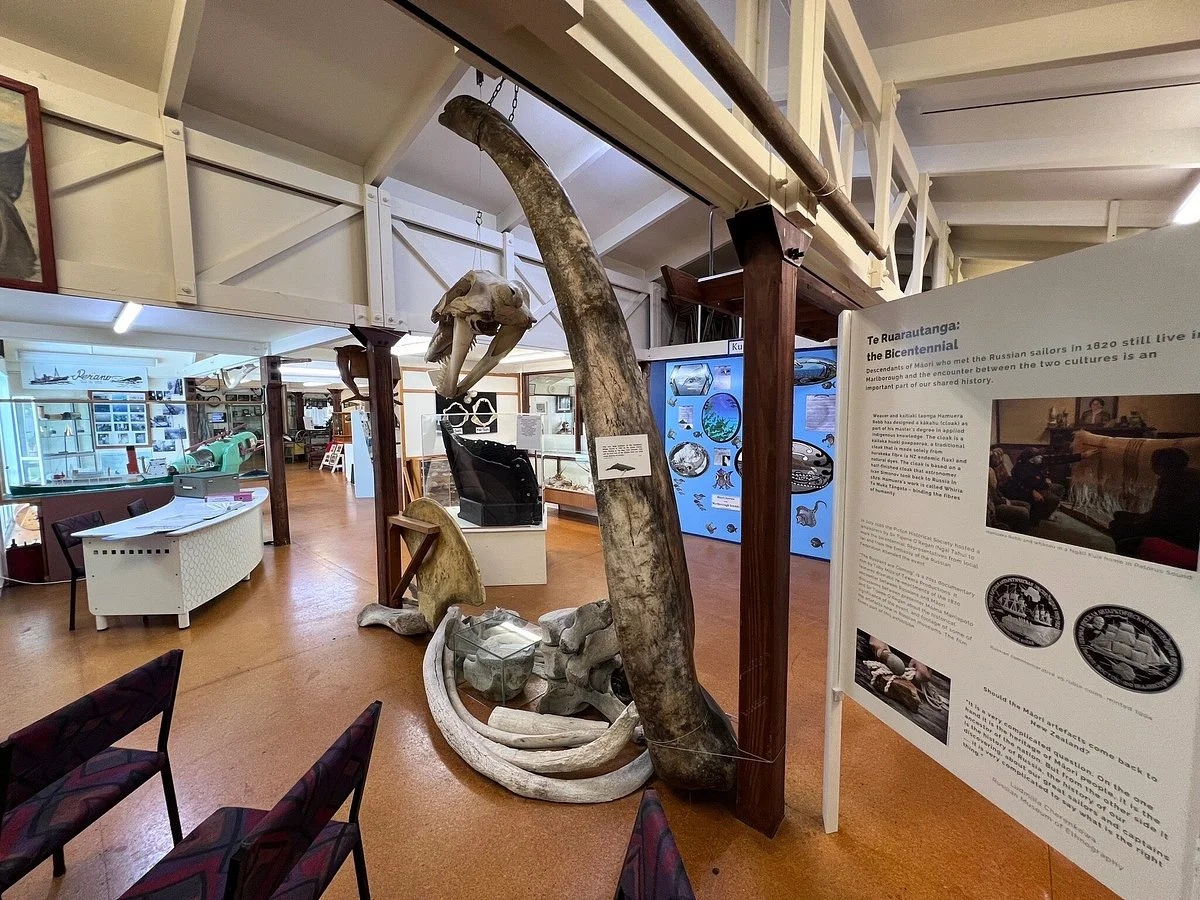 Heritage & Whaling Museum Picton