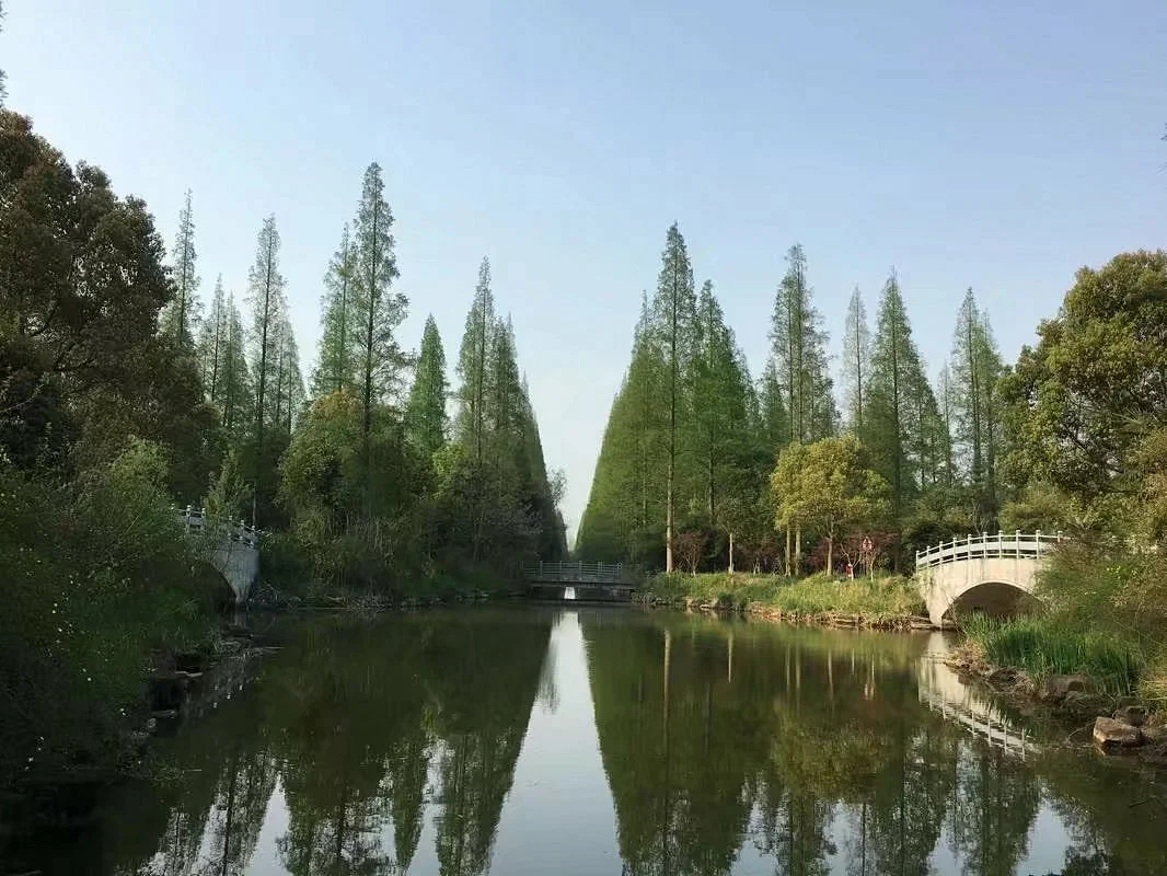 Dongping National Forest Park