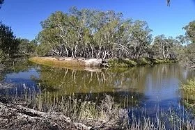 Wimmera River