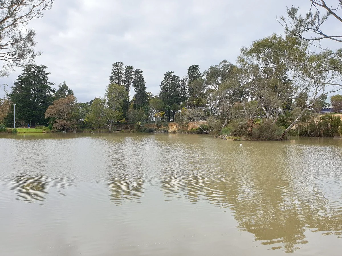 Surrey Park