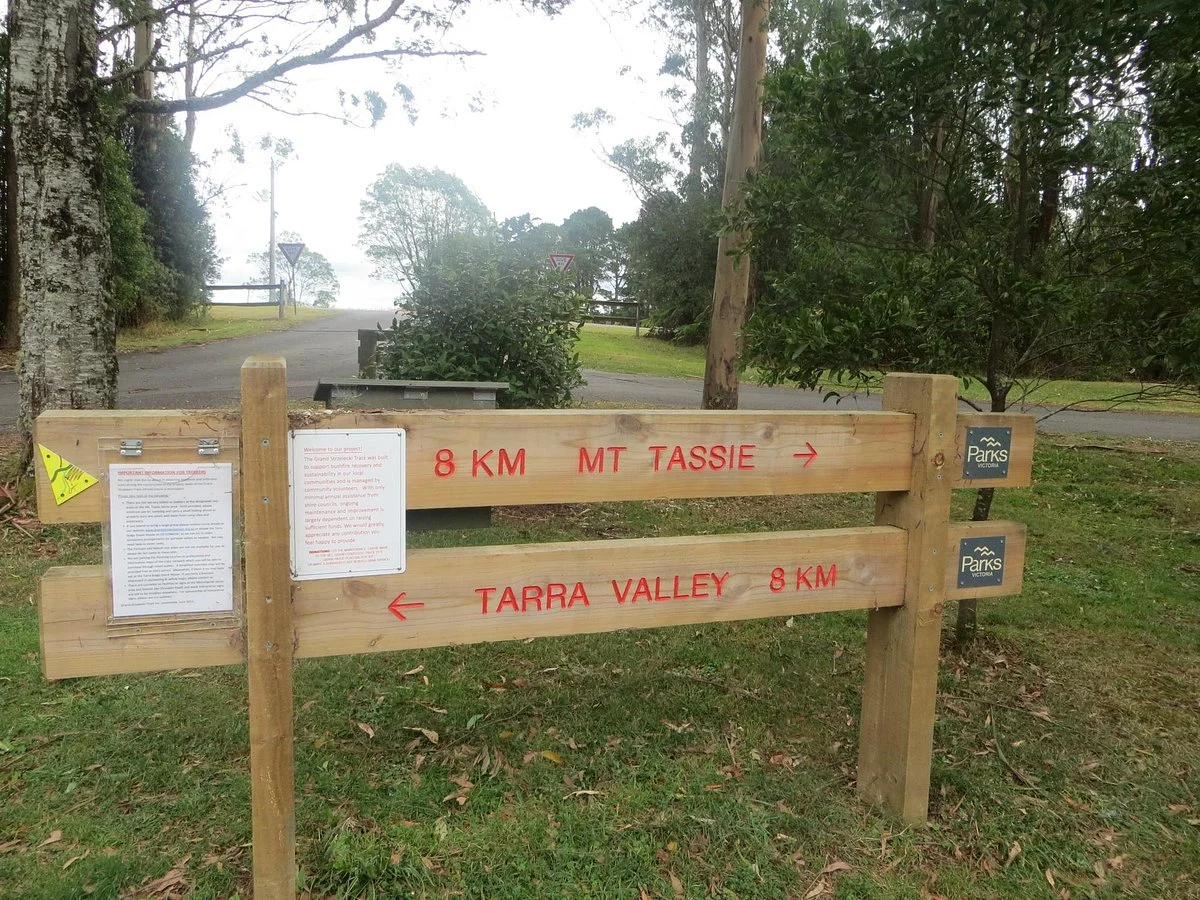 Tarra Bulga National Park